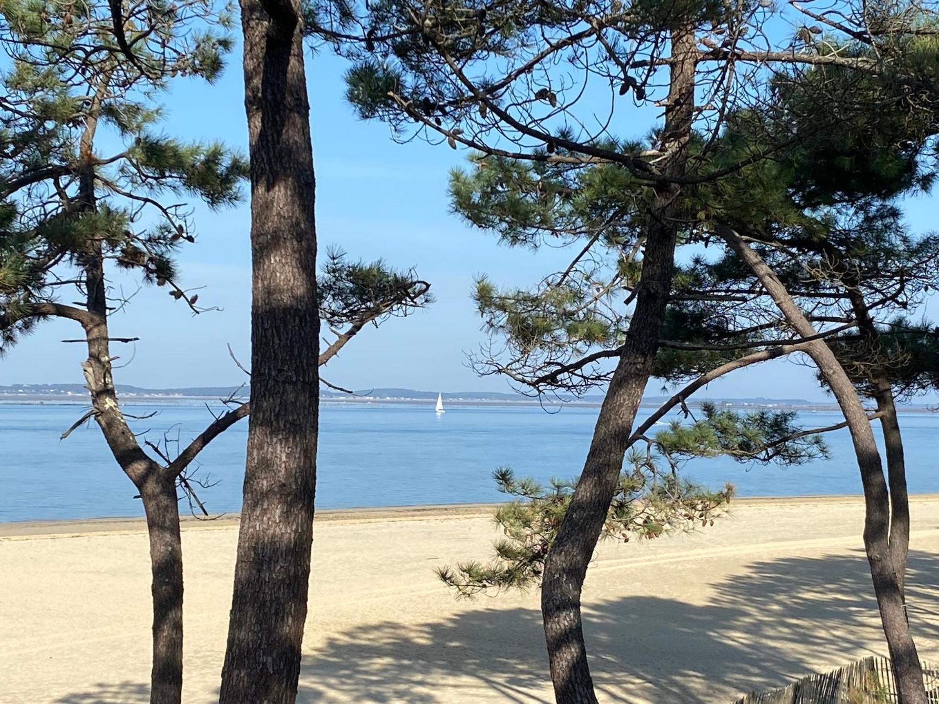 Hotel Particulier - Les Lodges Du Bassin D'Arcachon- Petit-Dejeuner Sur Demande- Prestations Haut De Gamme غوجان-ميستراس المظهر الخارجي الصورة