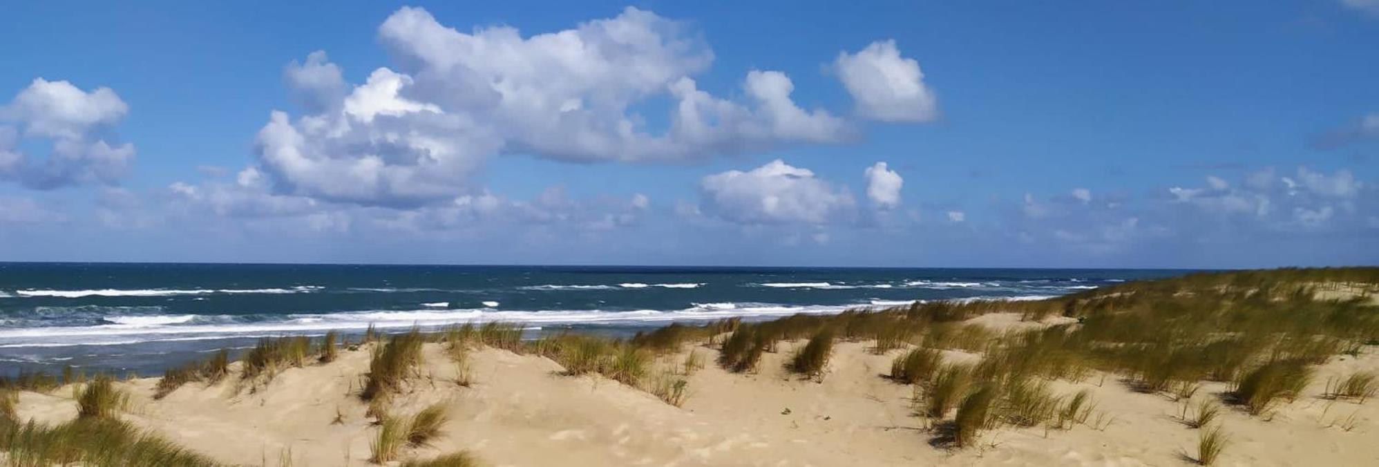 Hotel Particulier - Les Lodges Du Bassin D'Arcachon- Petit-Dejeuner Sur Demande- Prestations Haut De Gamme غوجان-ميستراس المظهر الخارجي الصورة